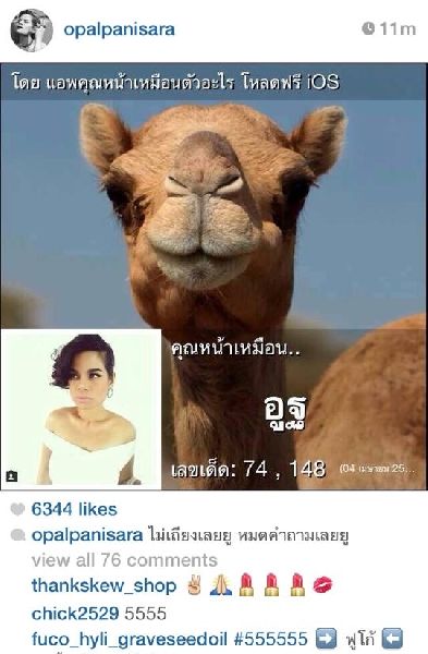 เมื่อดารา-นักร้อง-คนดัง กลายมาเป็นสัตว์ พวกเขาหน้าเหมือนตัวอะไร??