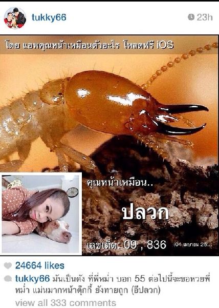 เมื่อดารา-นักร้อง-คนดัง กลายมาเป็นสัตว์ พวกเขาหน้าเหมือนตัวอะไร??