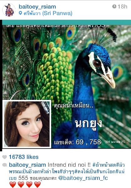 เมื่อดารา-นักร้อง-คนดัง กลายมาเป็นสัตว์ พวกเขาหน้าเหมือนตัวอะไร??