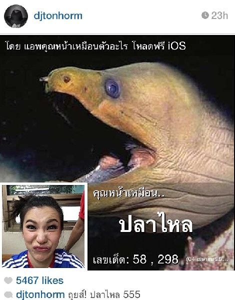 เมื่อดารา-นักร้อง-คนดัง กลายมาเป็นสัตว์ พวกเขาหน้าเหมือนตัวอะไร??