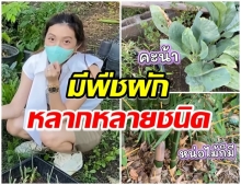 ตระการตา!! มิว นิษฐา พาทัวร์สวนผักแปลงใหญ่ ปลูกไว้ให้กับลูกสาว